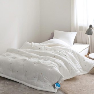 ����Ʈ ��ī�� ���� ���� ����� �����̺Һ���Ŀ��(�̺�+����Ŀ��) �̱�/�� 2����  ����ħ���������� 