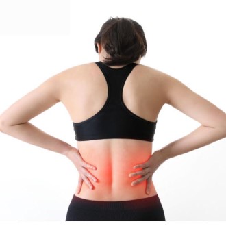 �㸮��ȣ��  ��縶���㸮��ȣ�� ��ü�߿� �α��ǰ