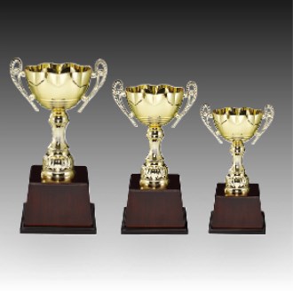 ��� ��ȸ �û� Ʈ���� ���ζ� D �ֹ� ����